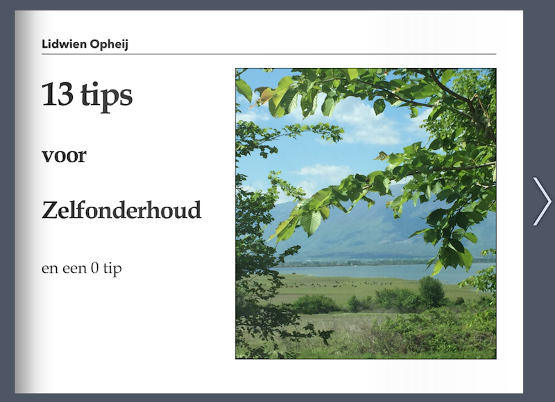 13 tips voor Zelfonderhoud bladerboekje