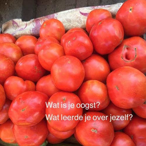 Wat is je oogst, wat leerde je over jezelf