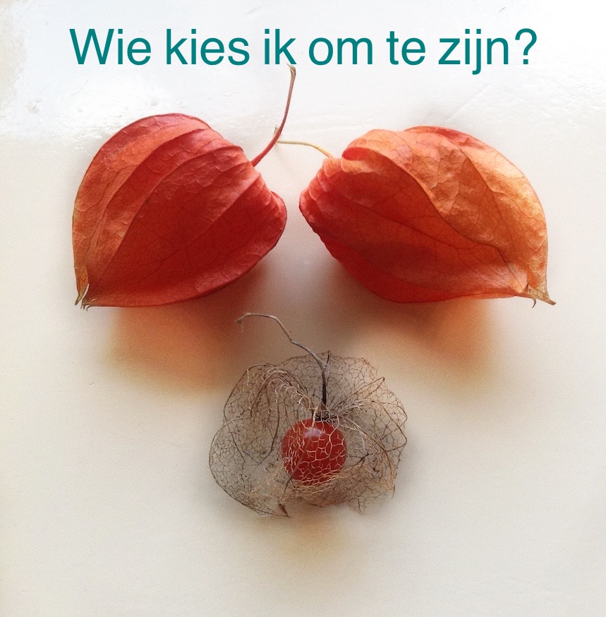 wie kies ik om te zijn.JPG